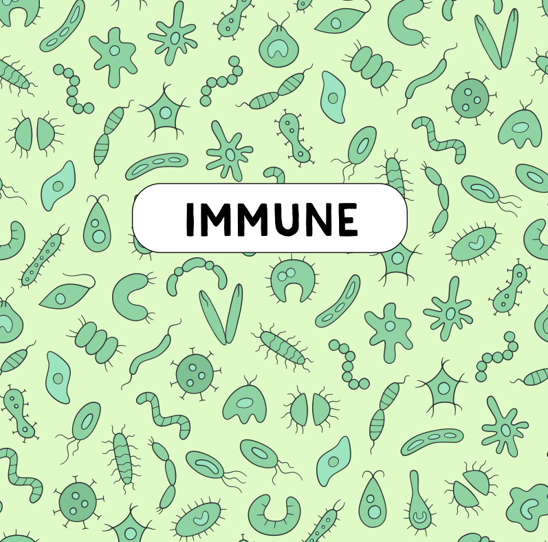 Immune System